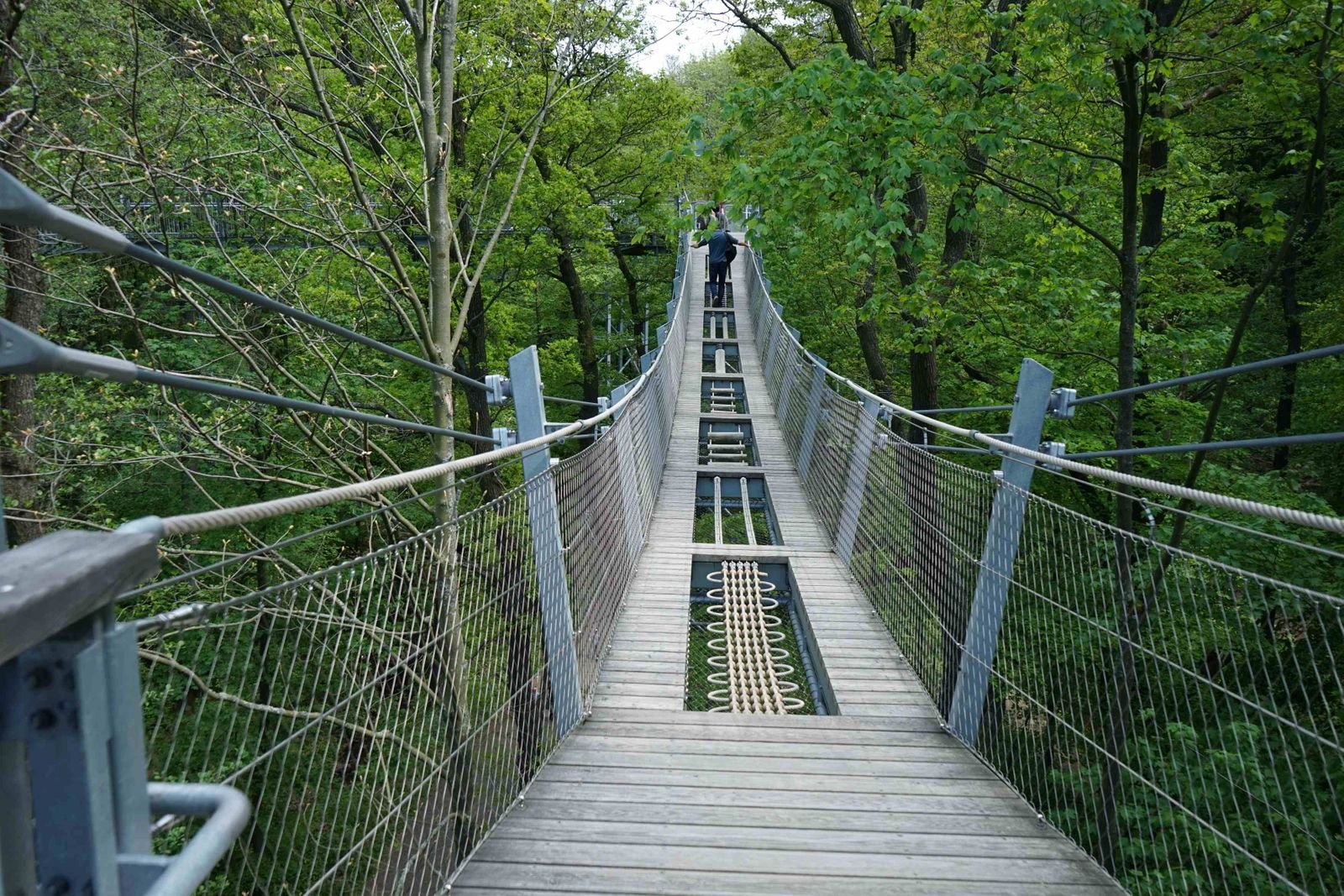 Baumwipfelpfad Bad Harzburg